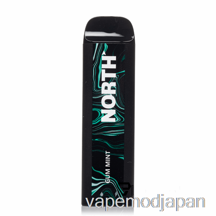 VAPE ジャパンノース 5000 使い捨てガム ミント